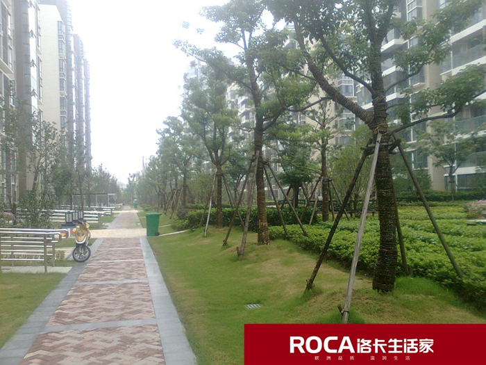 Ͼů ůƬ {(dio) ˮ bůƬ