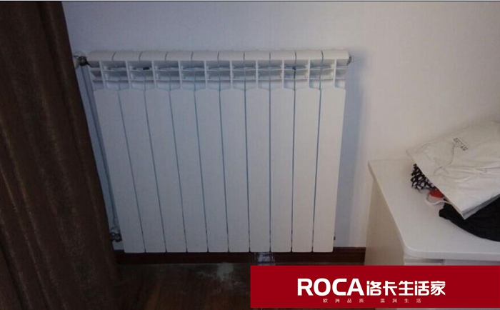 \南京進口暖氣片壁掛爐 明裝暖氣片 中央凈水